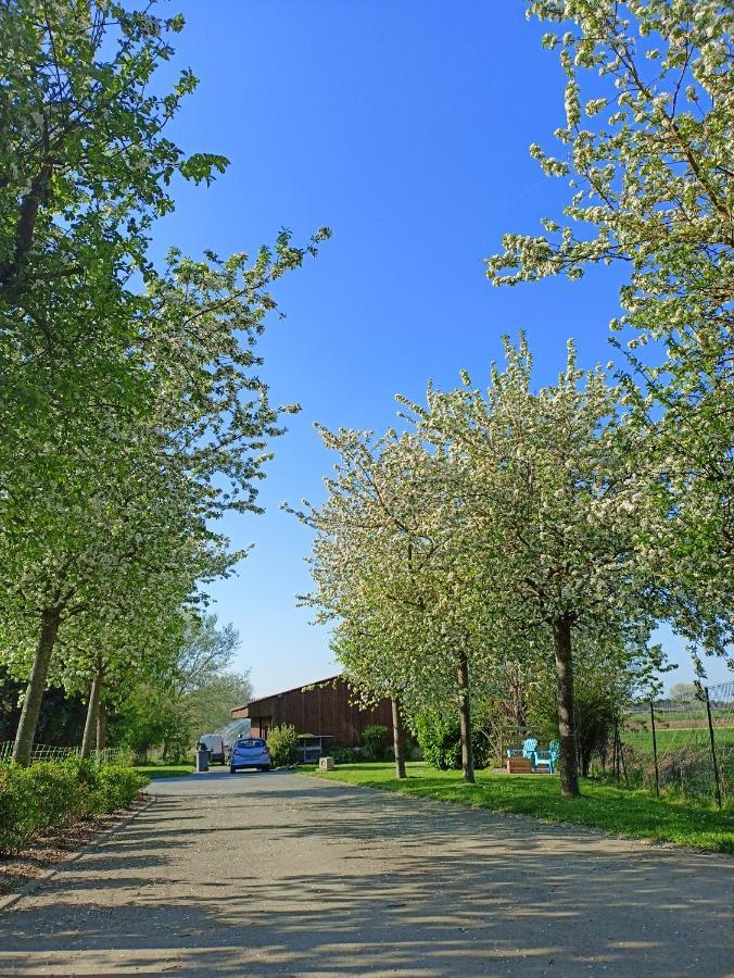 Les Chambres D'Hotes Du Vert Galant " L'Allee Des Champs" Verlinghem Экстерьер фото